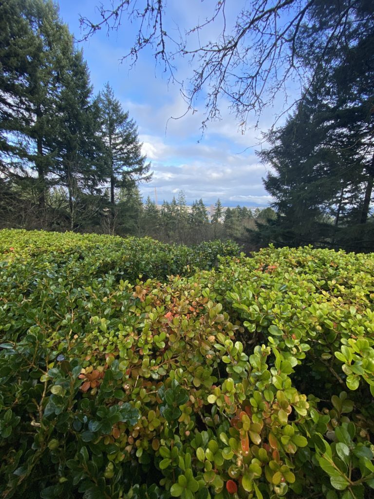 ありのままをみて、否定しない