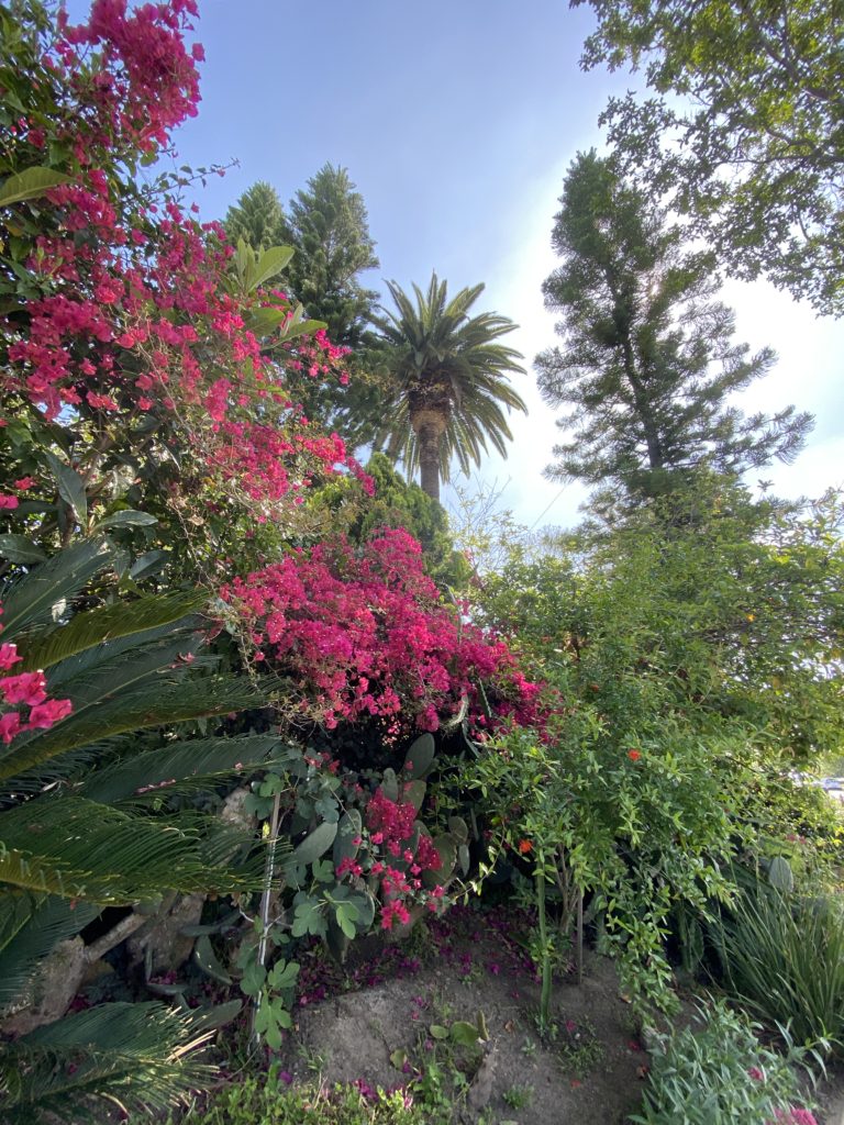 毎朝、歩く事。