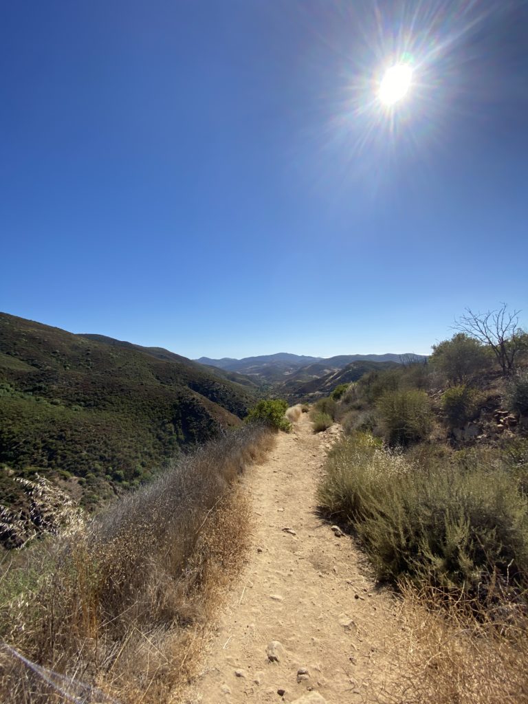 どうありたいか