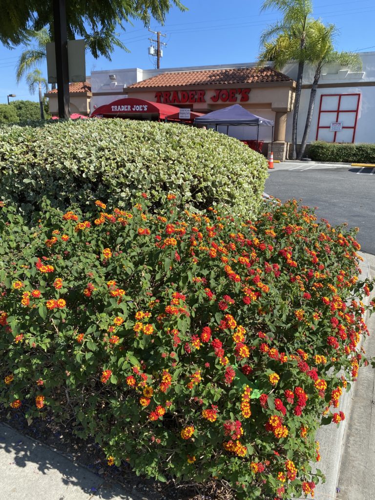 損とは思考から生まれるもの