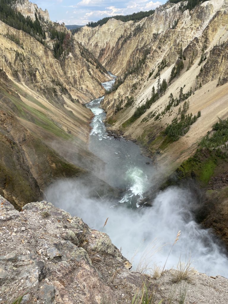 リスクを受け入れなければ、成長はない