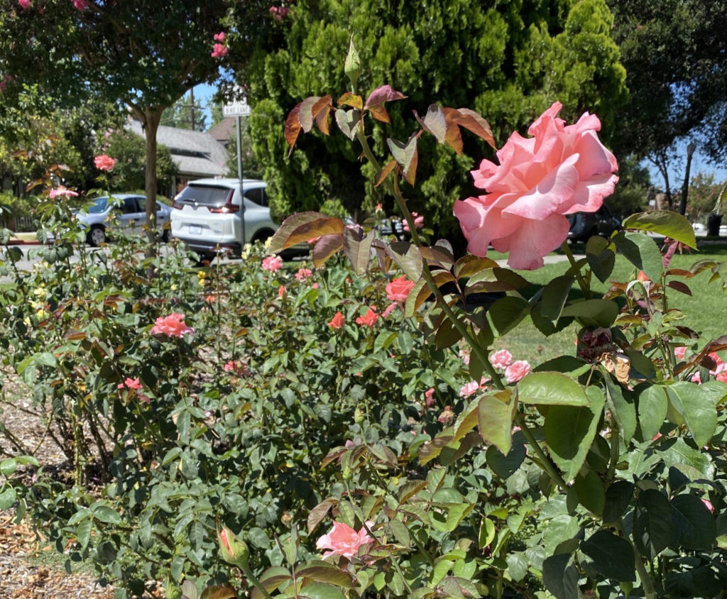 もっと自分を愛せ