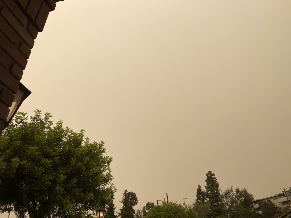 執着を手放したいときは思考を今に戻すこと