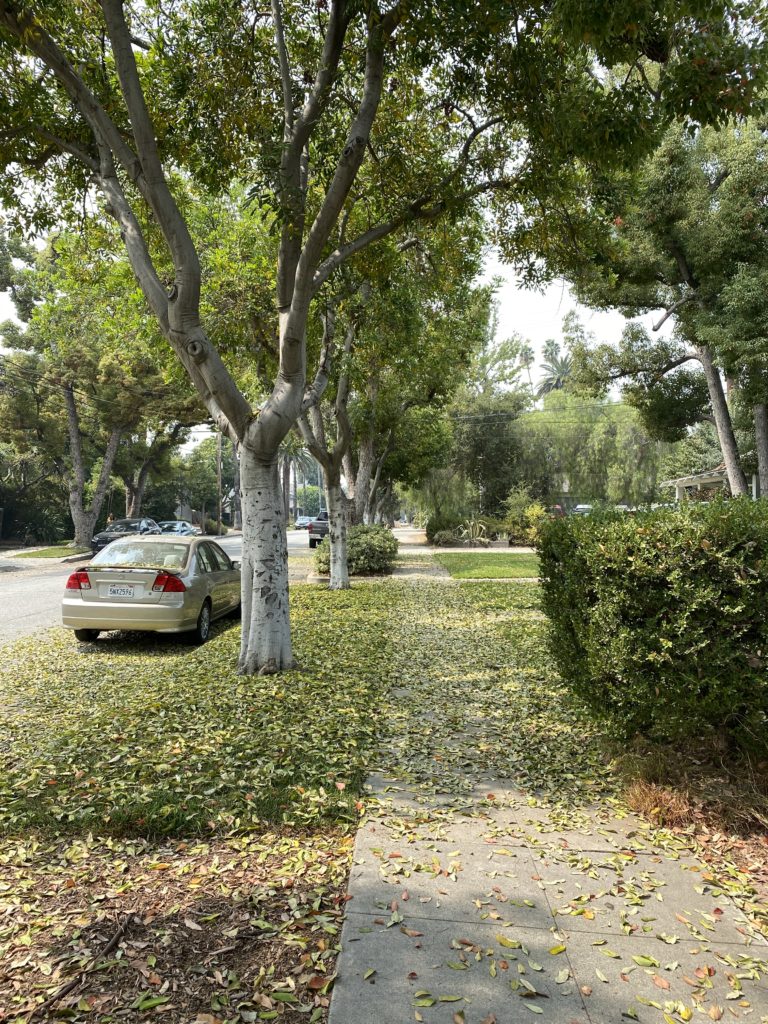 期待しすぎないで生きる