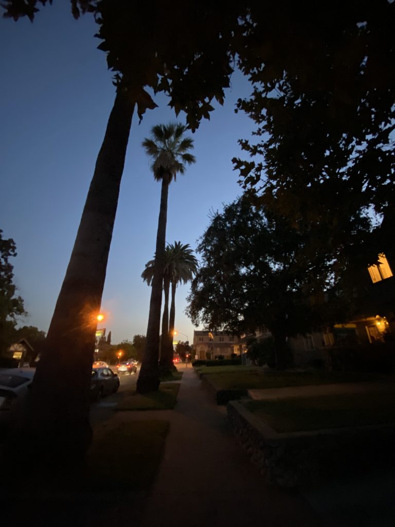 脳を使ったら休ませることで鍛えることが出来る