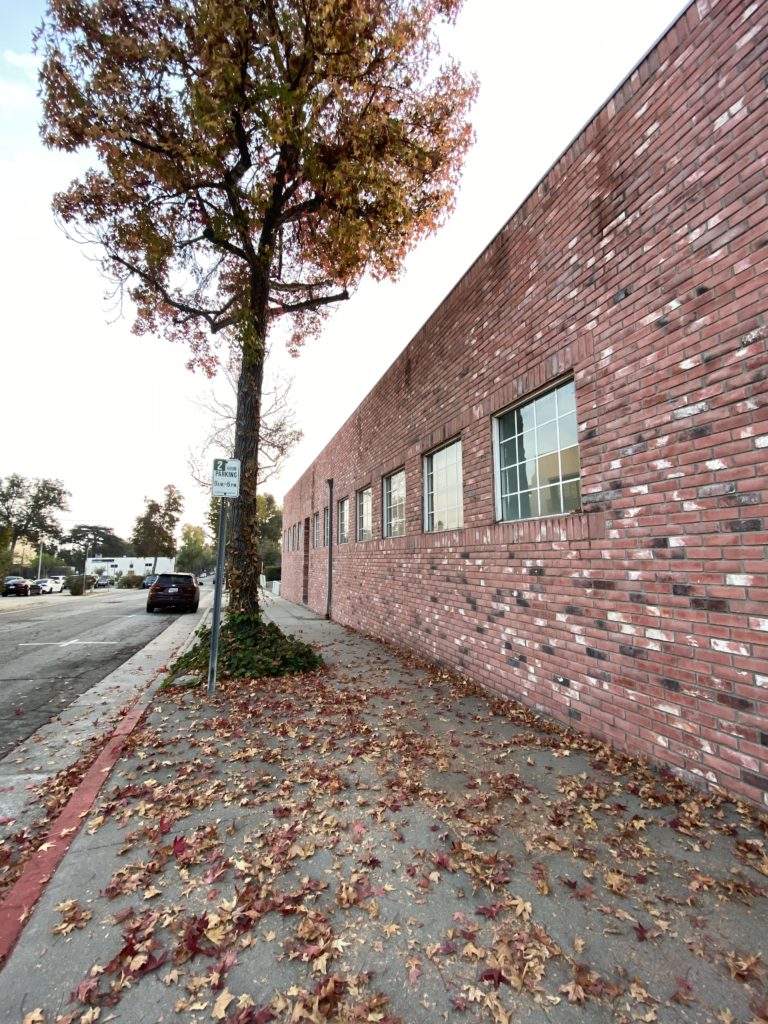 自分を偽らないこと