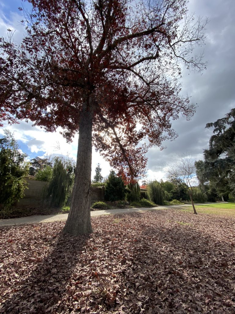 相手を見ることでやさしくなれる