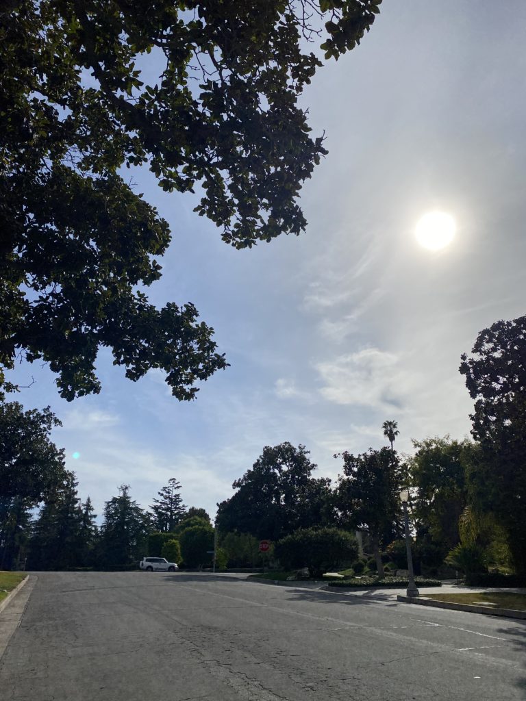 自己研究の先には