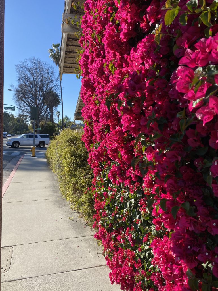 一日の始まりに必要なのは酸素と感謝