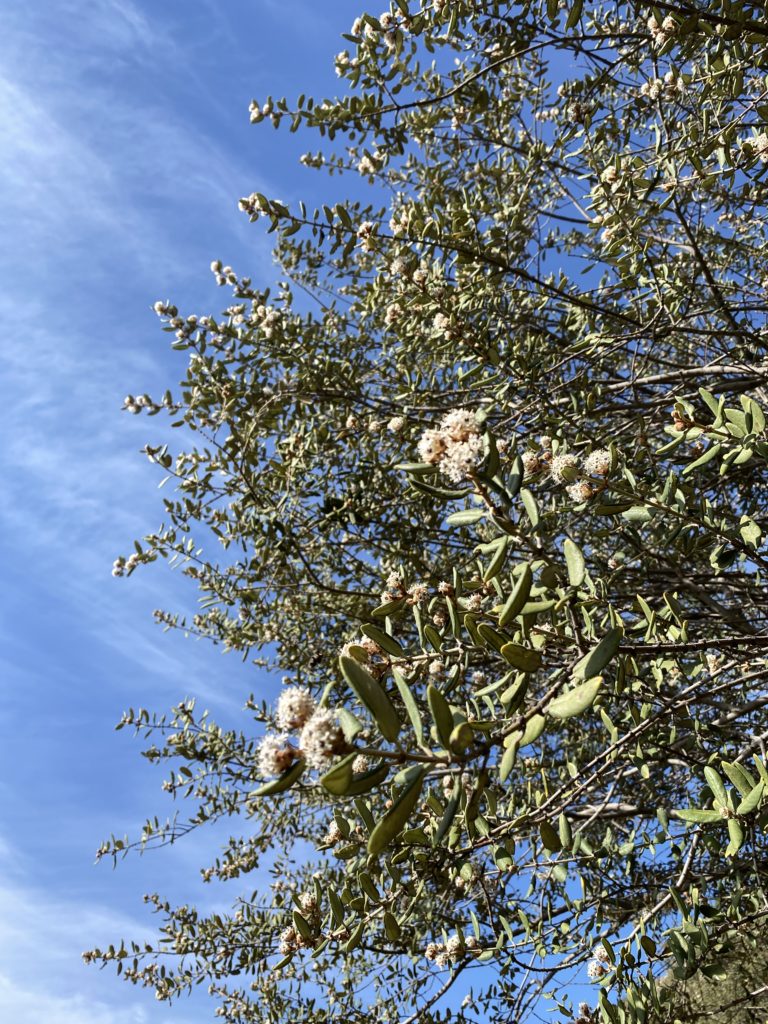内なる感情に嘘はやめよう