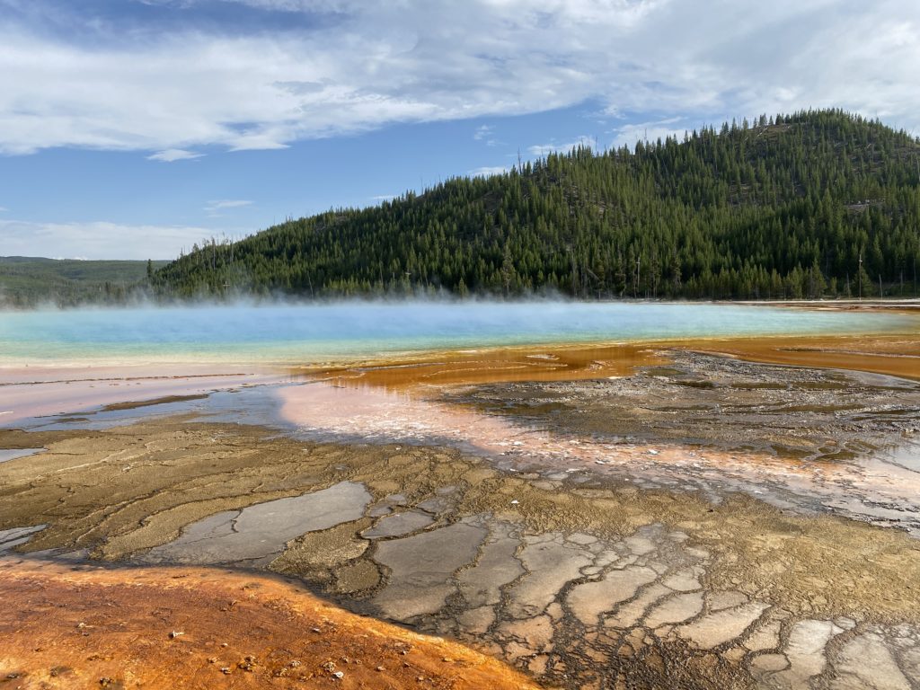 栄養はメンタルにとって最も重要