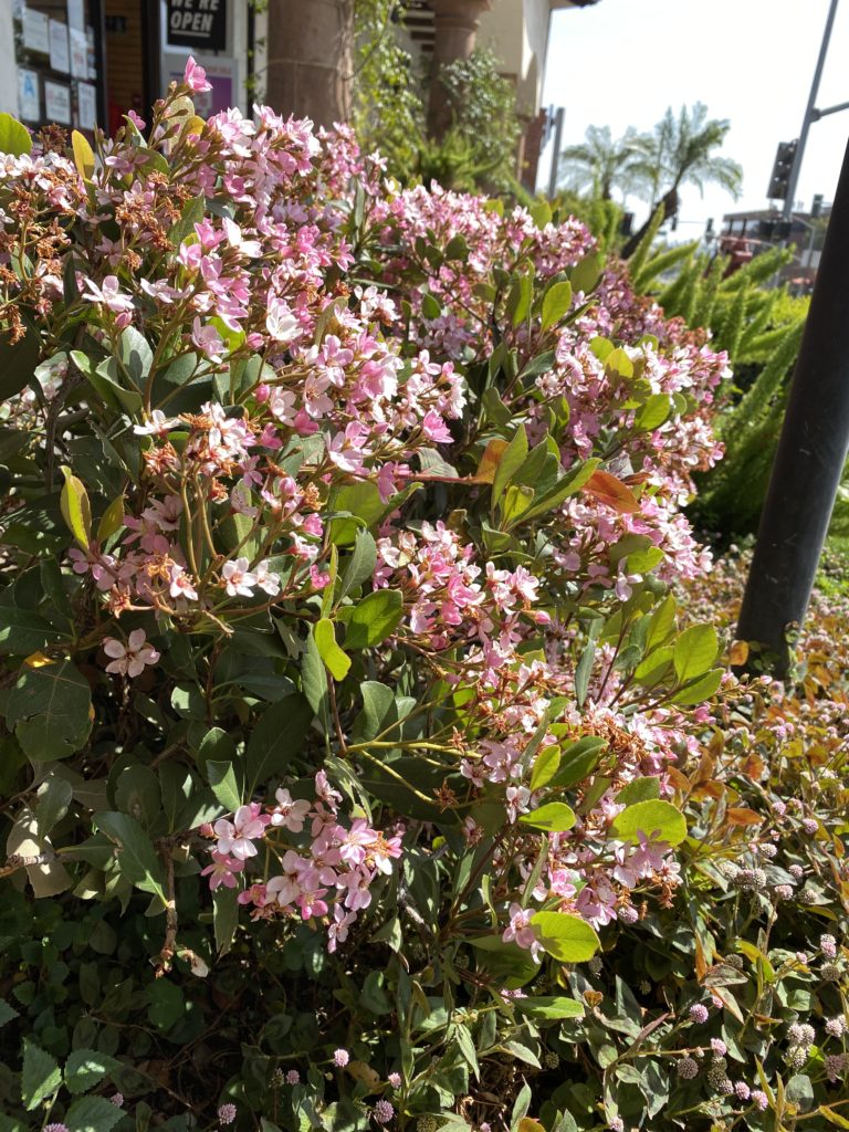 欲との付き合い方