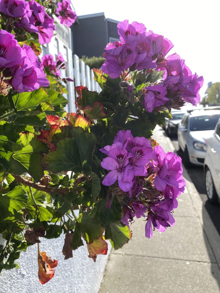 Hurt makes you stronger