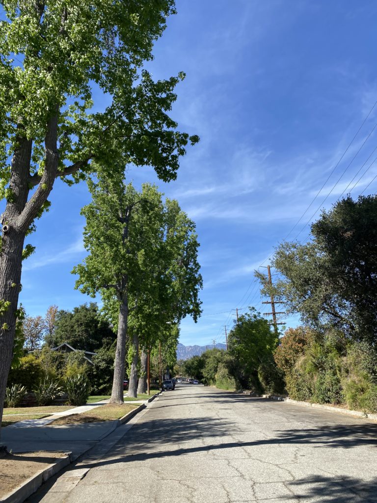 Don’t think too much satisfaction and don’t expect