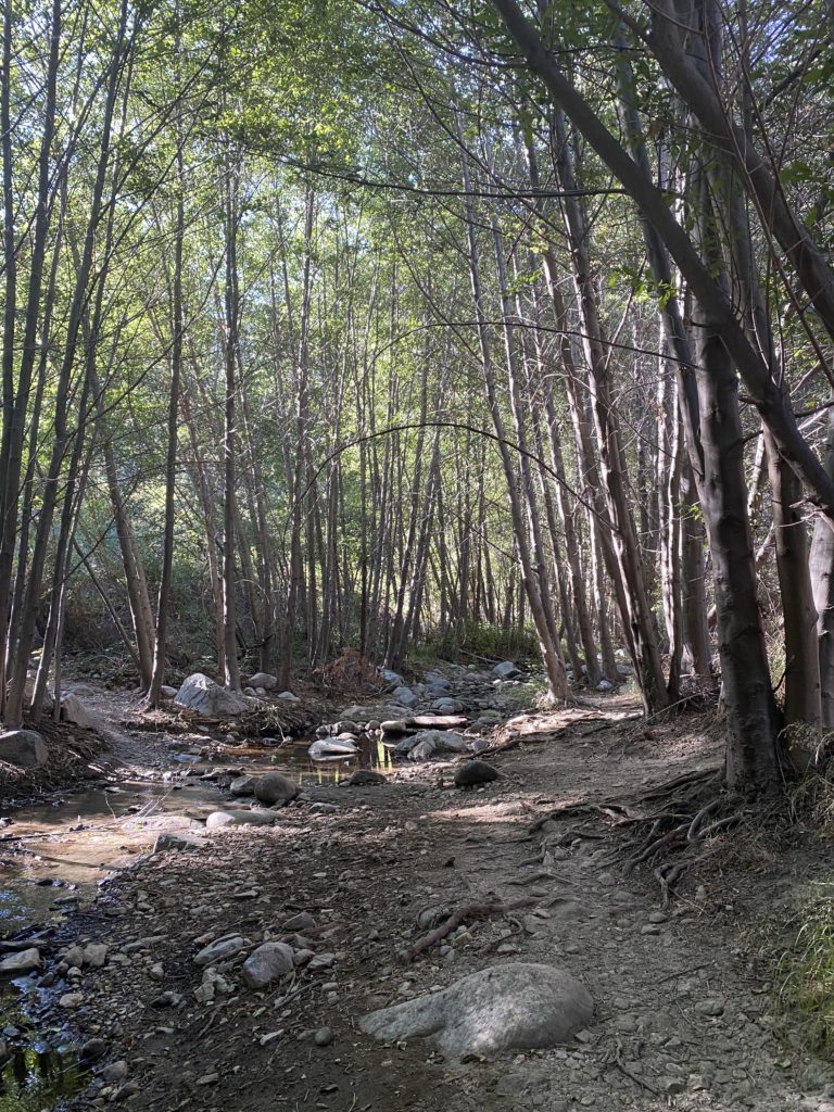 もしもあと３６５日しかない人生でどう生きる