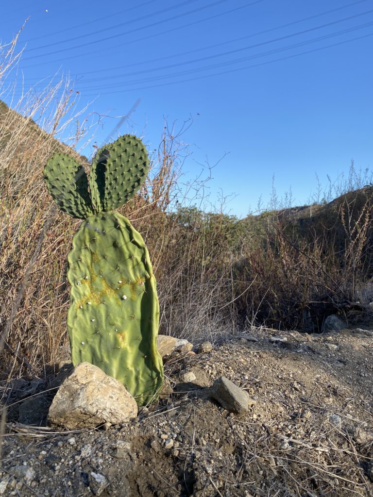 行動後に問題があるのは成長している証拠である