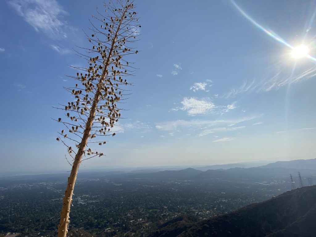人と比べてしまう癖の対処法