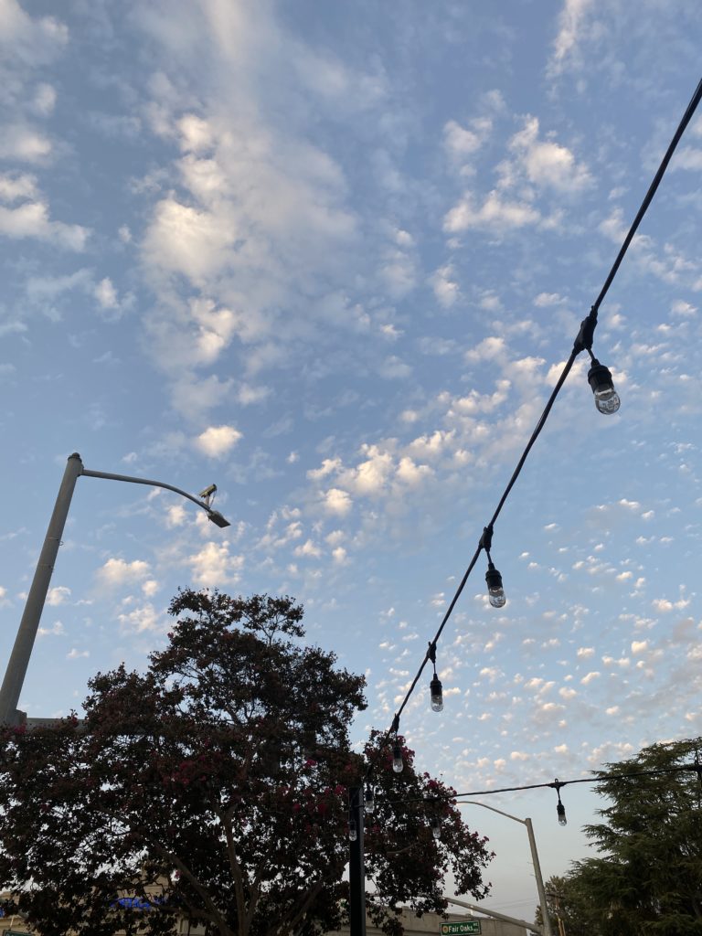 待つことでこころを育てる