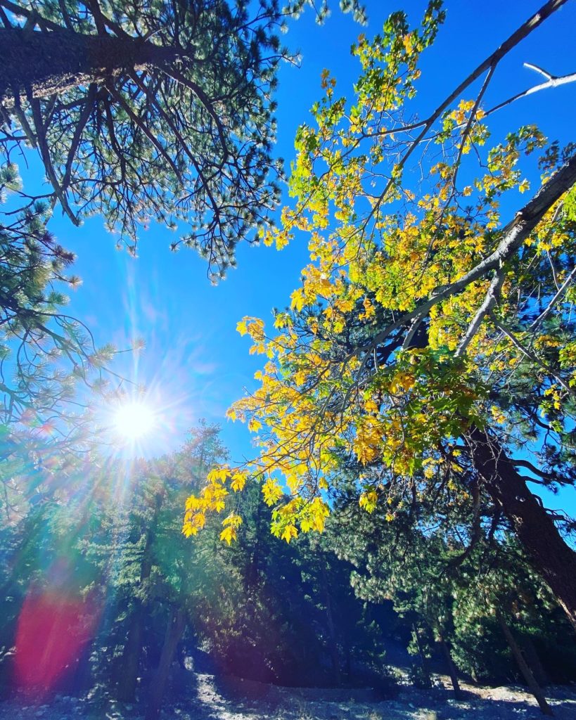 何があなたを強くさせるのか