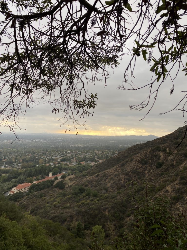 好きな人に振り向いてもらえない　人生思う様にいかない　その理由とは？