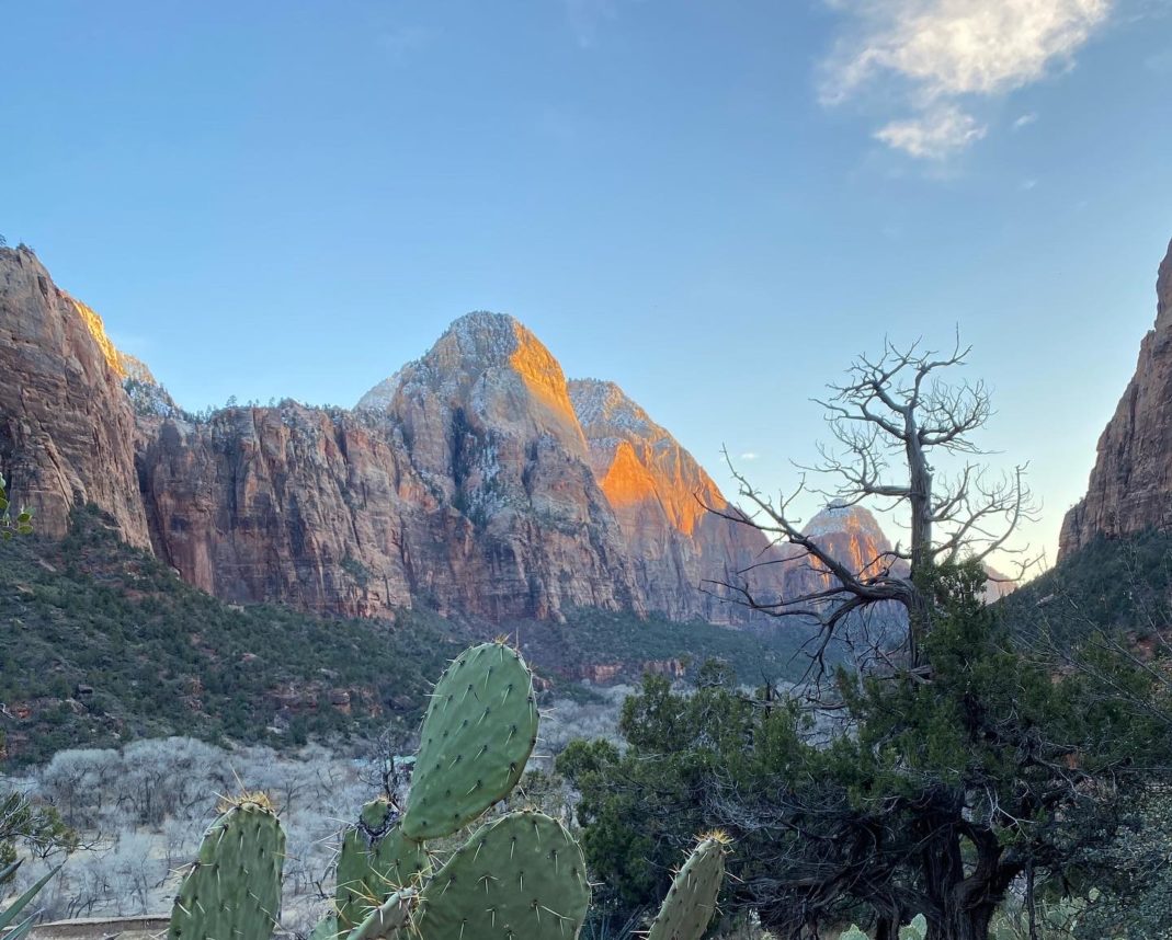 【アメリカ旅行】 おすすめのスポット ユタ州のザイオン国立公園 大自然と食事を満喫ソロ旅行記
