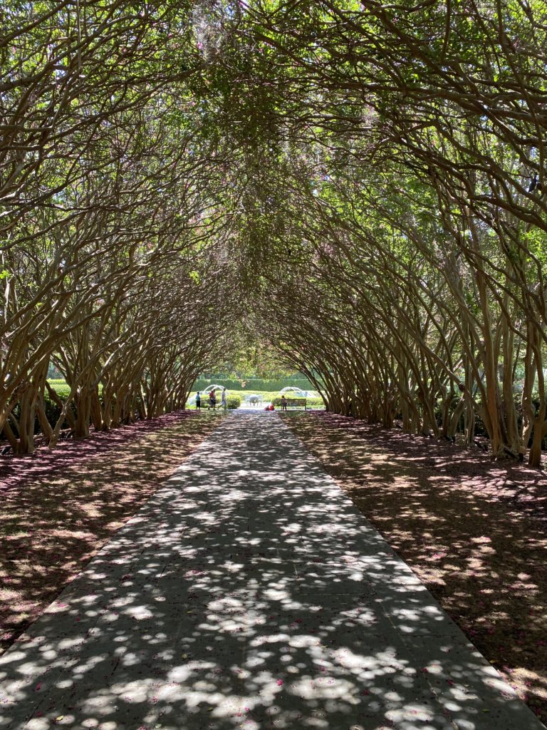 【超簡単】メンタルの強化で悩みに打ち勝つ方法