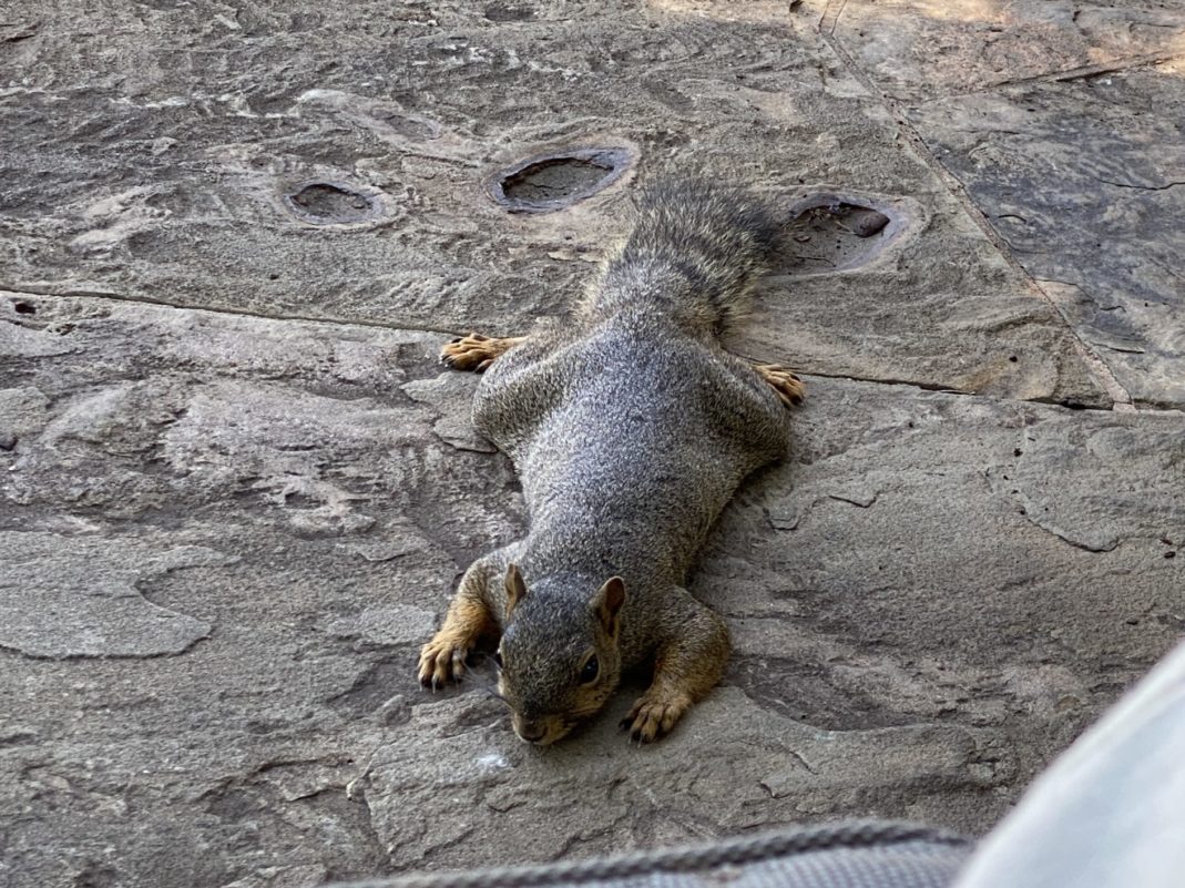 【人間関係】たまにはストレスでイライラしてたって人間らしくていいじゃない