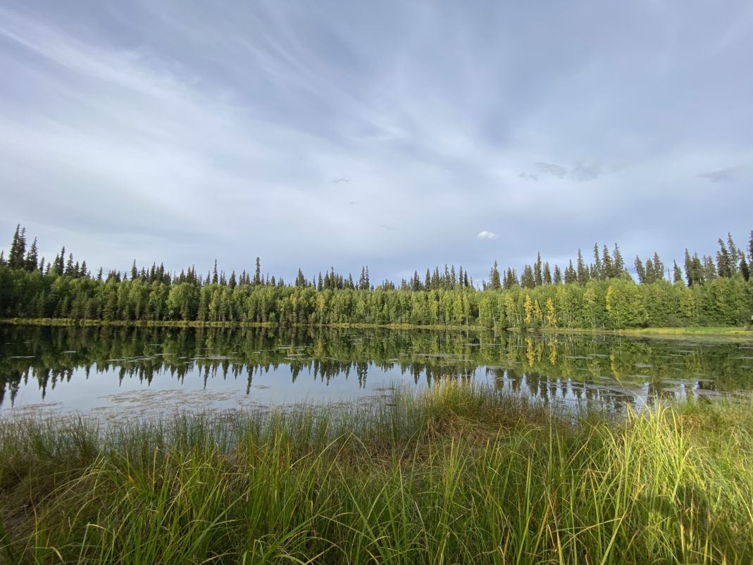 What are the reasons why you feel not well with others? What to do when that happens