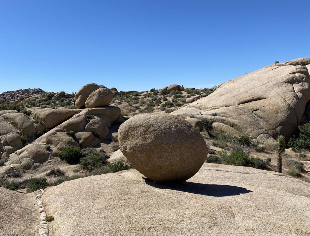 【アメリカ旅行】おすすめのスポット ジョシュアツリー国立公園内 砂漠でもソロキャンプの楽しみ方