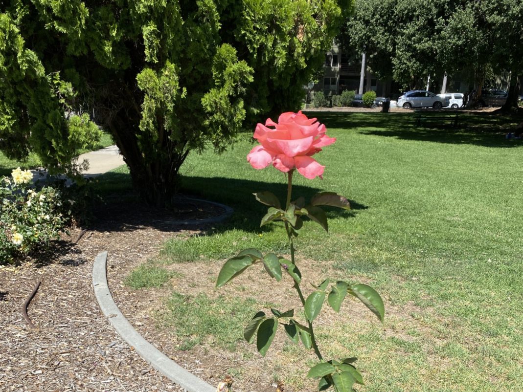 【Relationships】 Culture Shock! Japanese men turned to be a cold, why? 【Relationships】 Culture Shock! Japanese men turned to be a cold, why?