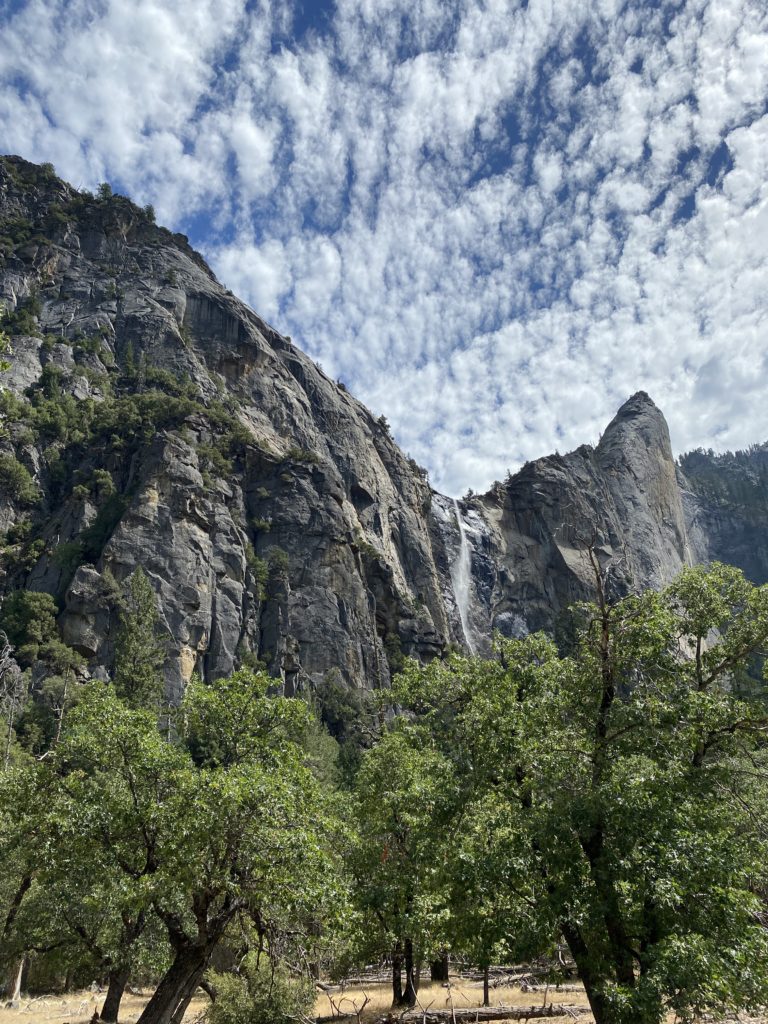 【アメリカ旅行】おすすめのスポット ヨセミテ国立公園 & 無料キャンプ場 ご紹介します！