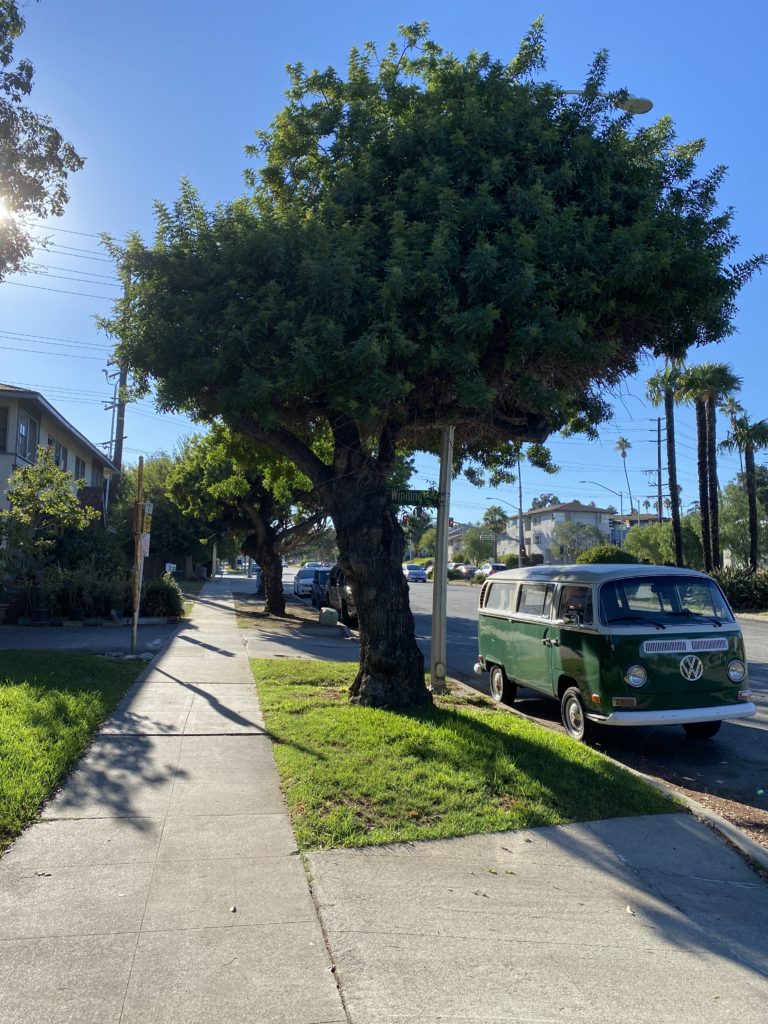 How to forget someone you love? What to think about when you just can’t forget someone in love now How to forget someone you love? What to think about when you just can’t forget someone in love now