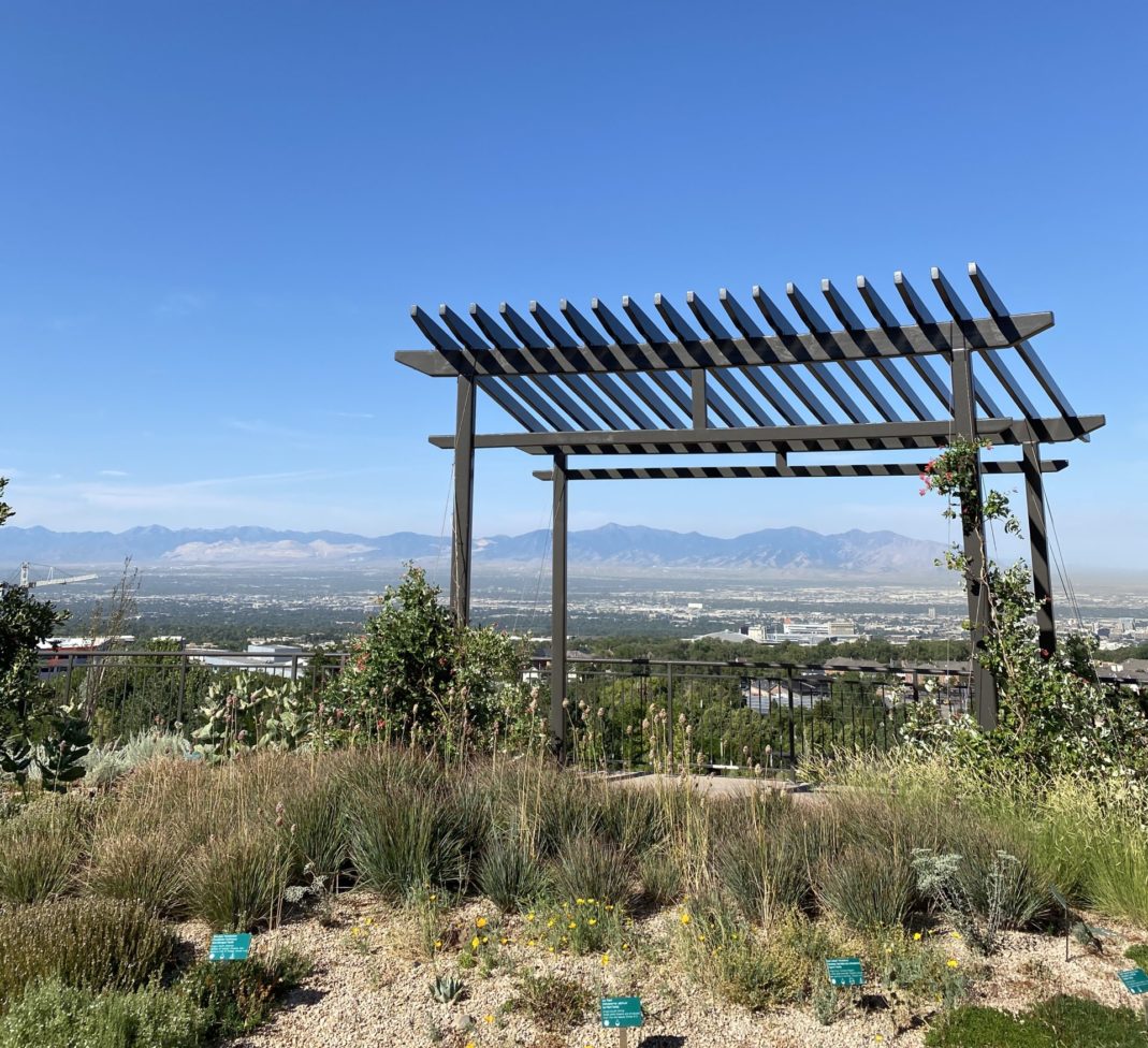 【アメリカ旅行】おすすめスポット ユタ州ソルトレイクシティ『Red Butte Garden』