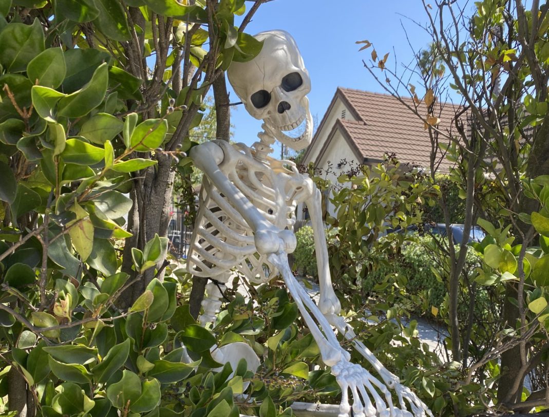 Really why the strong desire for approval from people and being loved always goes wrong ways