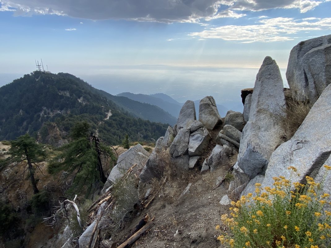 The economic situation in Japan 2022. How to recover