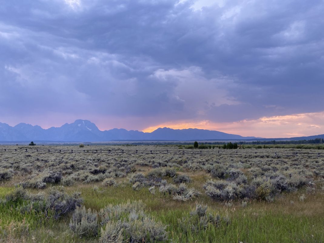 【アメリカ旅行】おすすめスポット 観光名所イエローストーン国立公園の情報と体験談