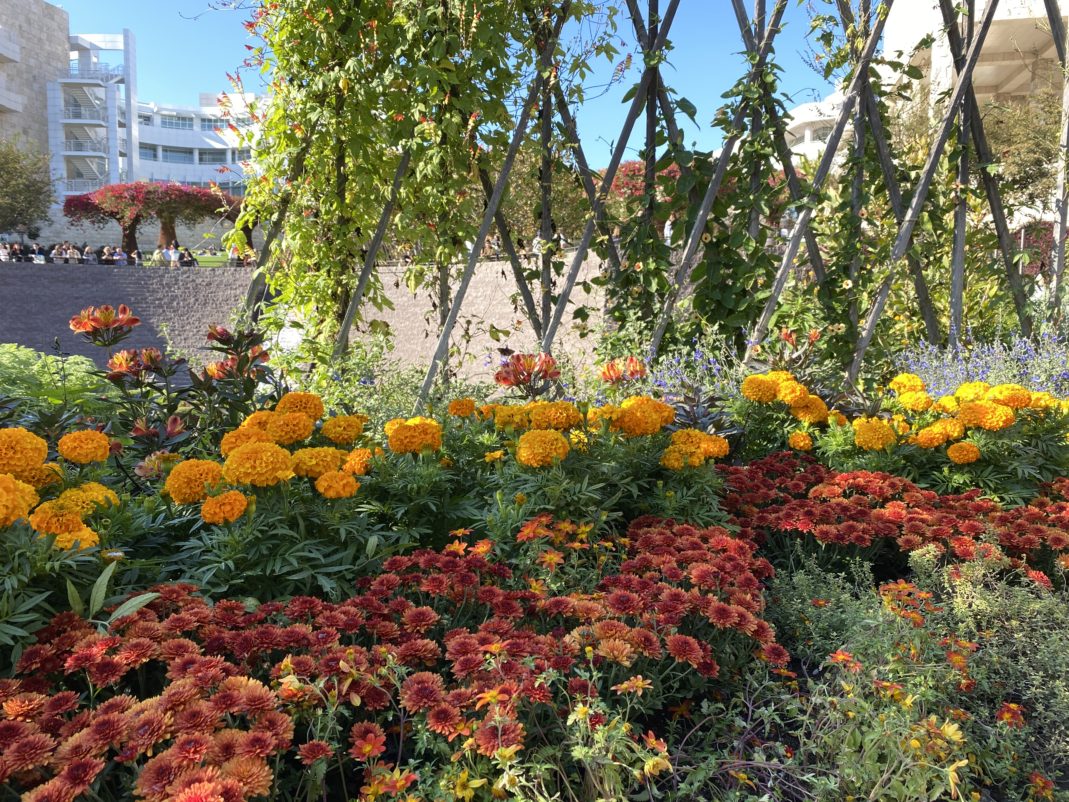 【実体験】オナニーは体に悪い？モテるにはオナ禁は必要？Nofap 30日経過後の効果と感想