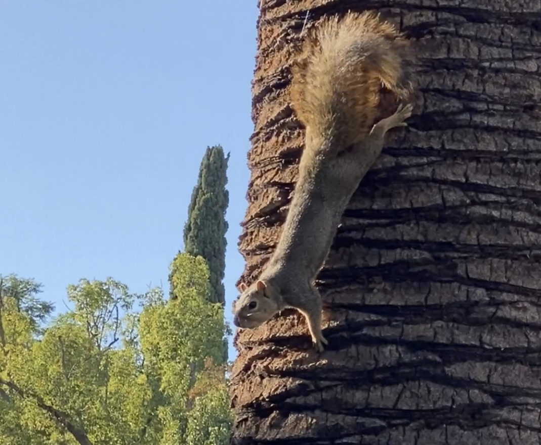 Life is short. How to make the best yourself Life is short. How to make the best yourself