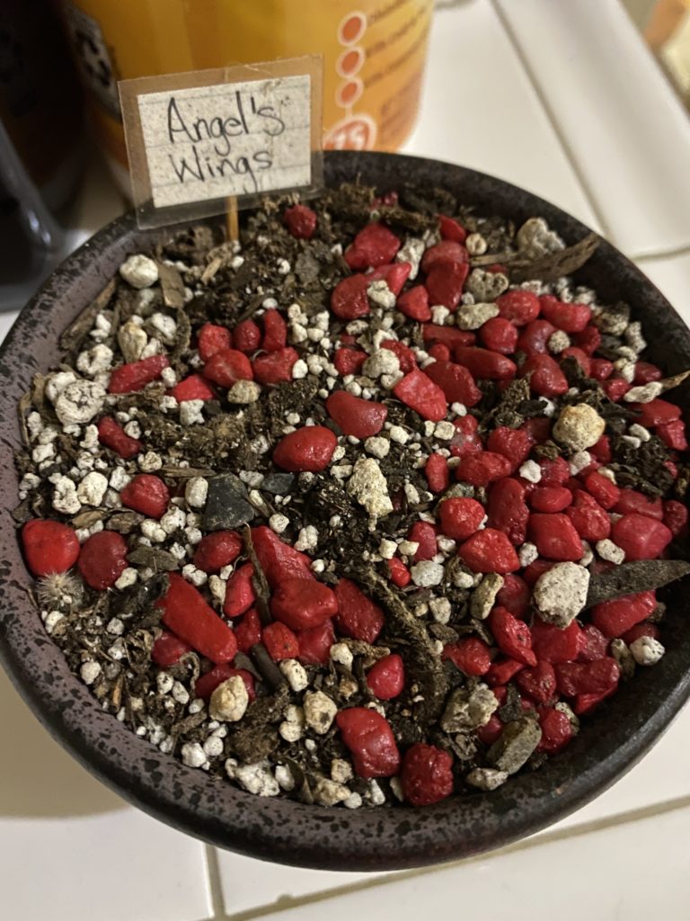 人生これで本当によかったのか？これまでを振り返ってみて後悔している人に必要な心構え