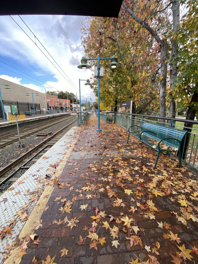 今までしてきたことが無駄な気がする方必見！賢い人生の時間の使い方で幸福度UP
