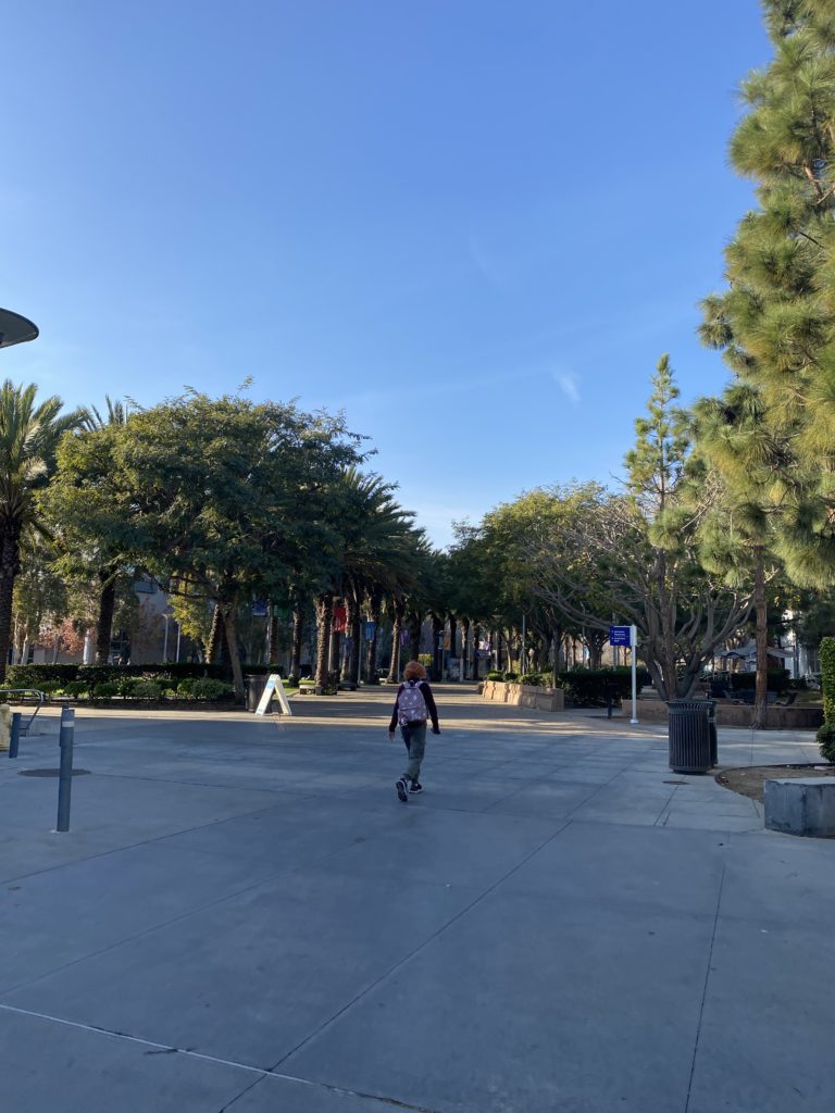 【アメリカ留学】 カリフォルニア州立大学で学びたい！ 事前に知っておくと良い事